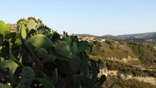 Photo of Others in Pano Arodhes