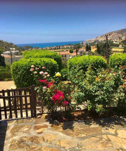 Photo of Others in Pissouri