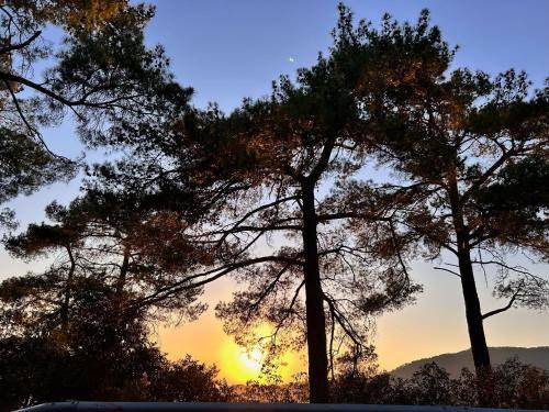 Photo of Others in Prodromos