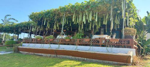 Photo of Outdoor in Kissonerga