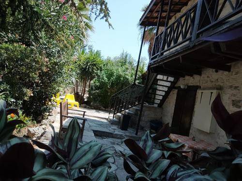 Photo of Others in Panagia