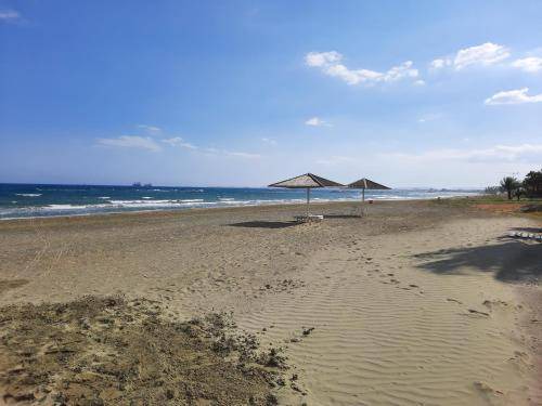 Photo of Others in Pyla