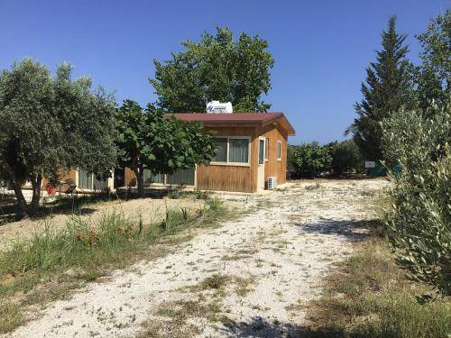 Photo of Buildings in Pano Arodhes