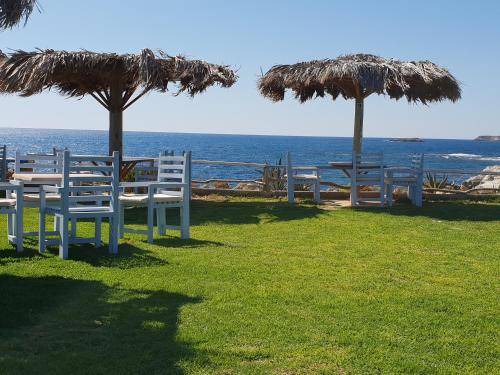 Photo of Others in Peyia Town
