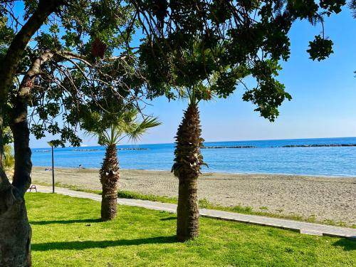 Photo of Outdoor in Agios Tychon