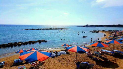 Photo of Others in Peyia Town