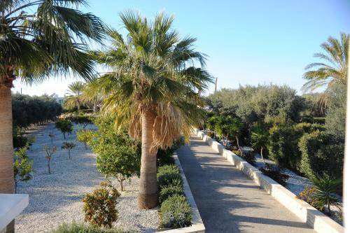 Photo of Others in Agios Georgios