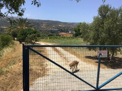 Photo of Others in Pano Arodhes