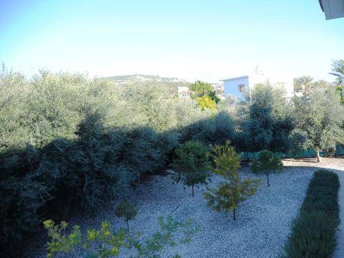 Photo of Others in Agios Georgios