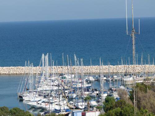 Photo of Others in Larnaca