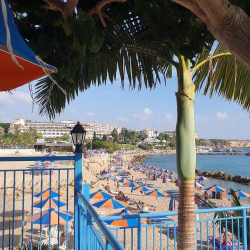 Photo of Others in Pegeia