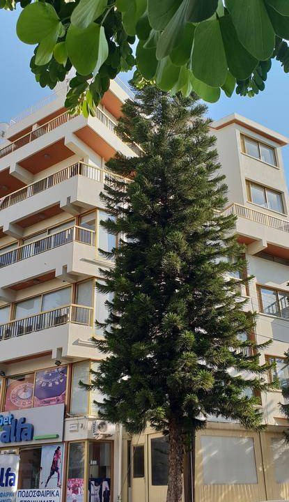 Photo of Buildings in Egkomi