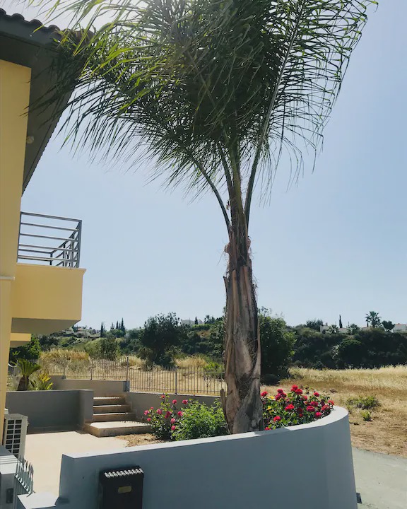 Photo of Patio Balcony in Peyia Town