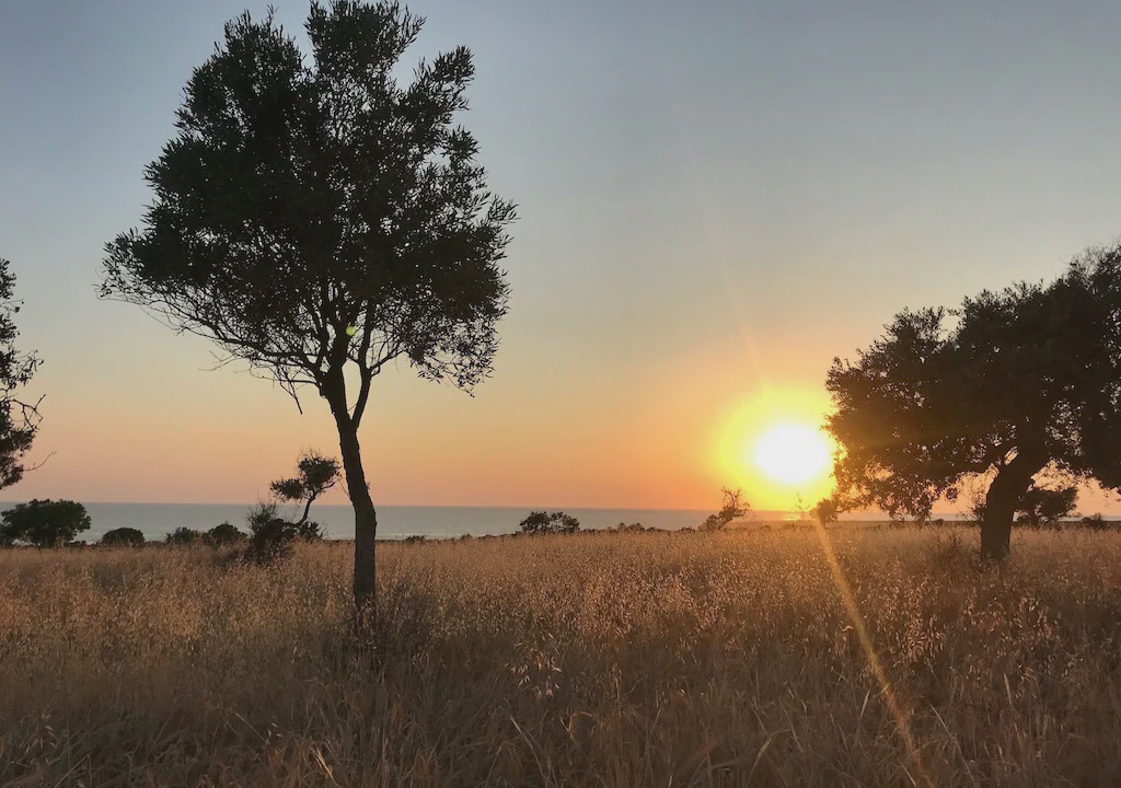 Photo of Outdoor in Peyia Town
