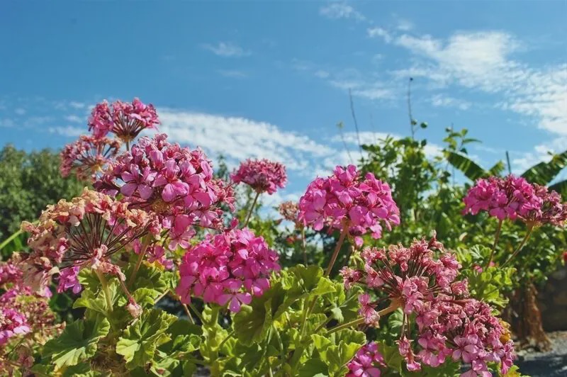 Photo of Outdoor in Dogankoy
