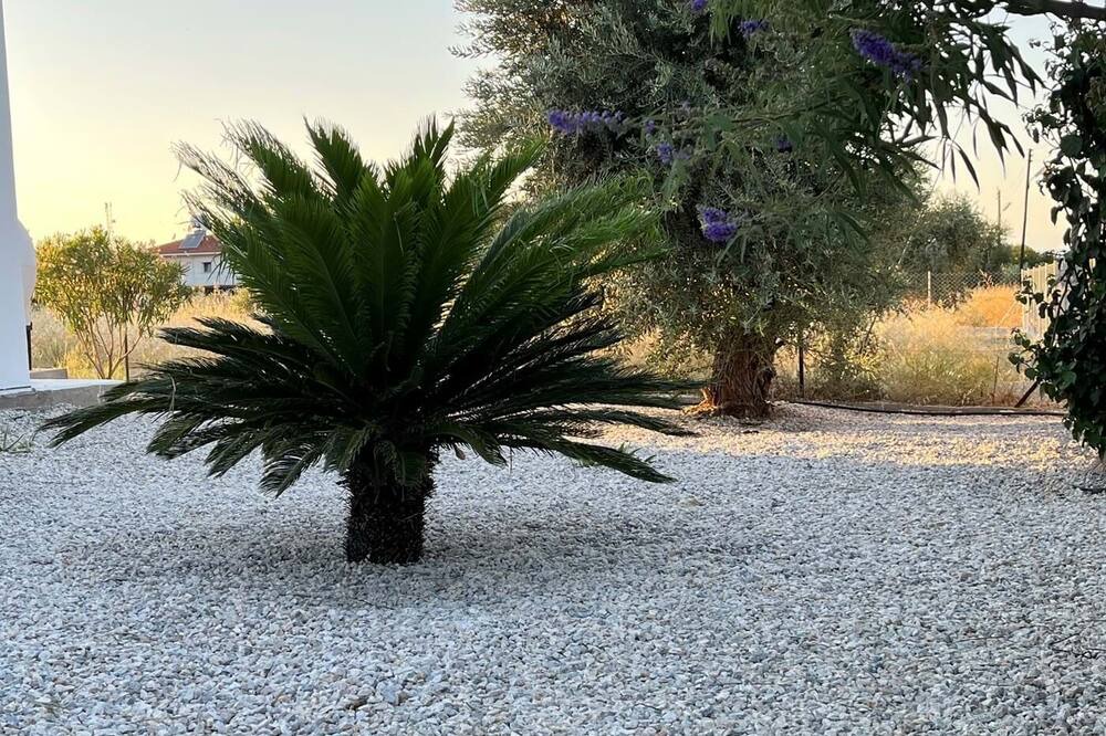 Photo of Outdoor in Karsiyaka
