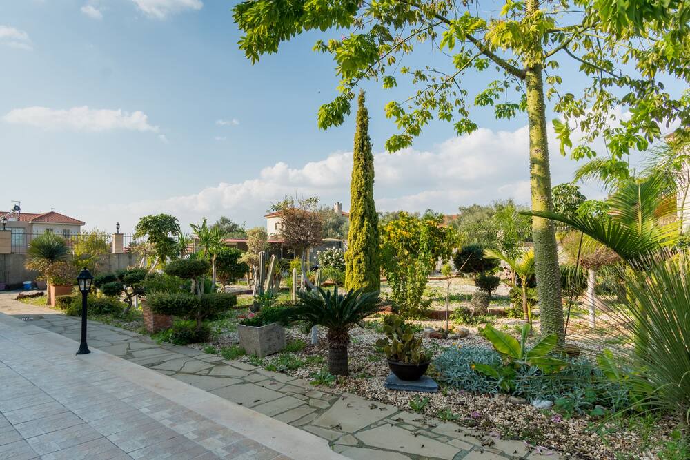 Photo of Outdoor in Ypsonas