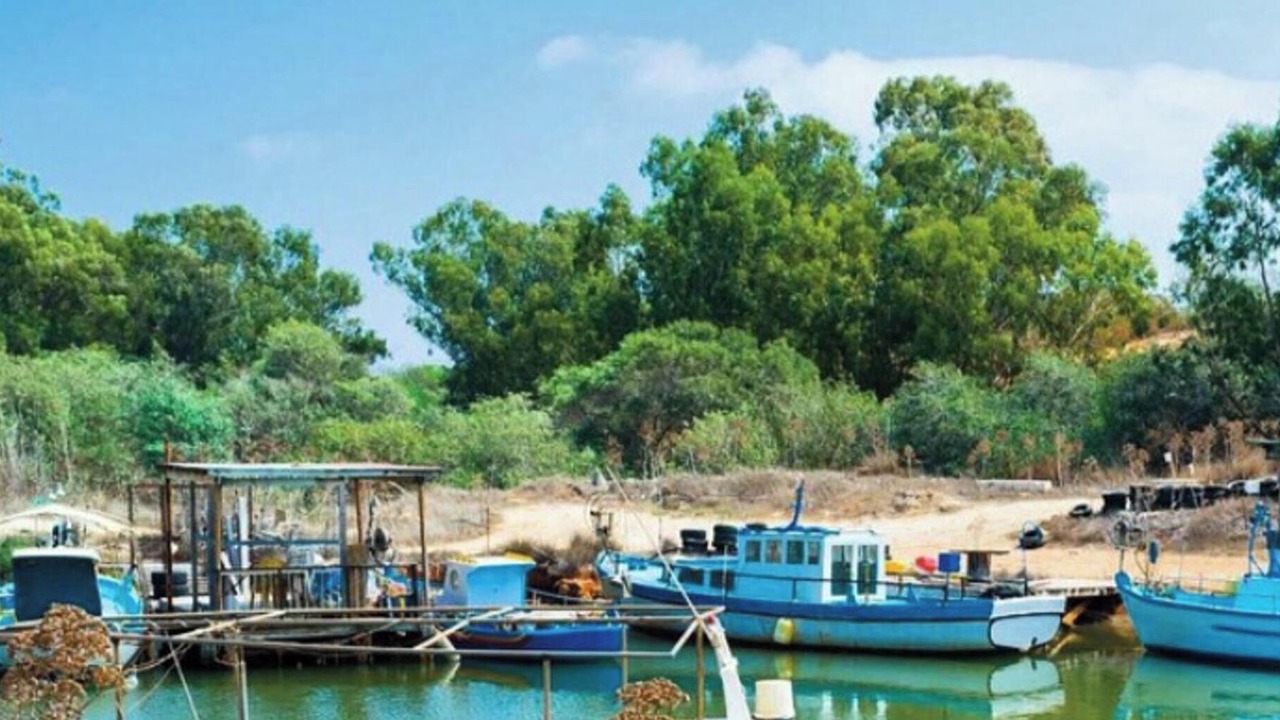 Photo of Others in Liopetri