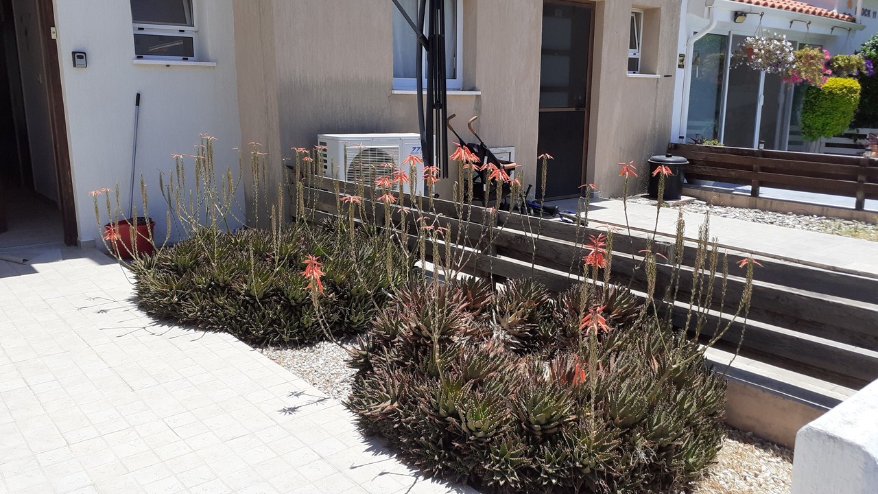 Photo of Outdoor in Mandria