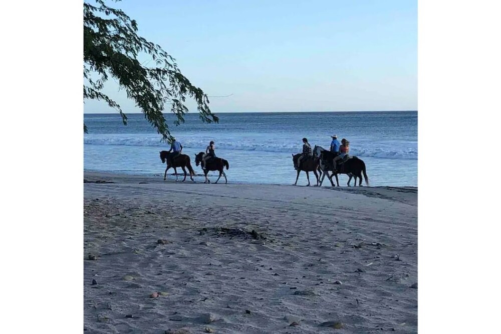 Photo of Others in Jiquelite