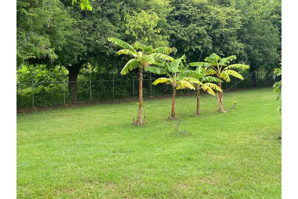 Photo of Outdoor in Jiquelite