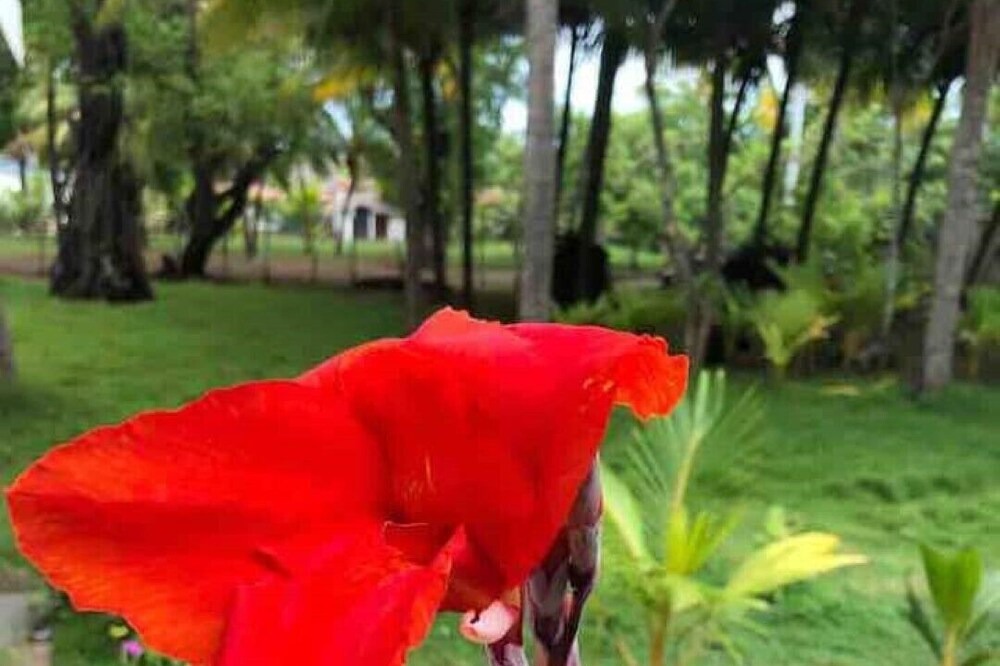 Photo of Outdoor in Aserradores