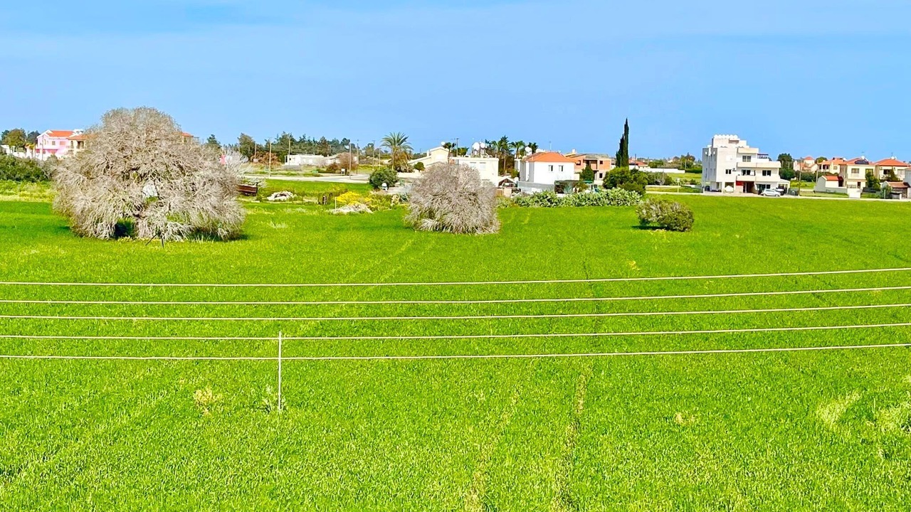 Photo of Others in Pervolia