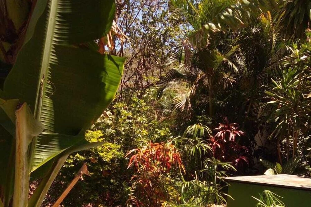 Photo of Outdoor in San Juan del Sur
