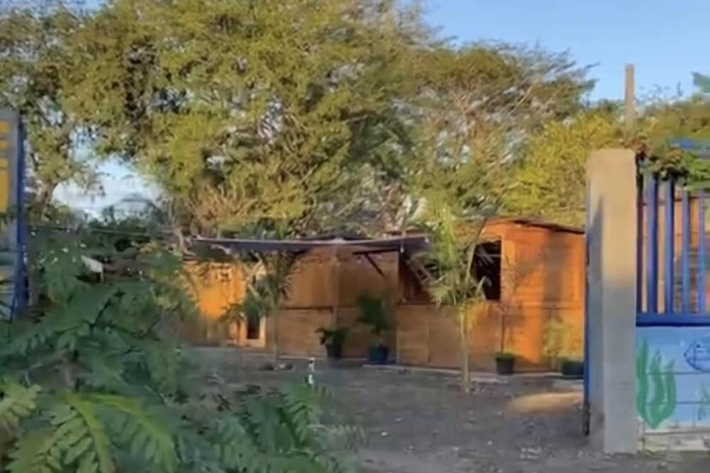 Photo of Outdoor in Masachapa