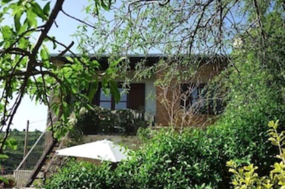 Photo of Outdoor in Vouni