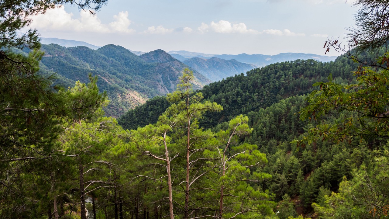 Photo of Outdoor in Vasa Koilaniou