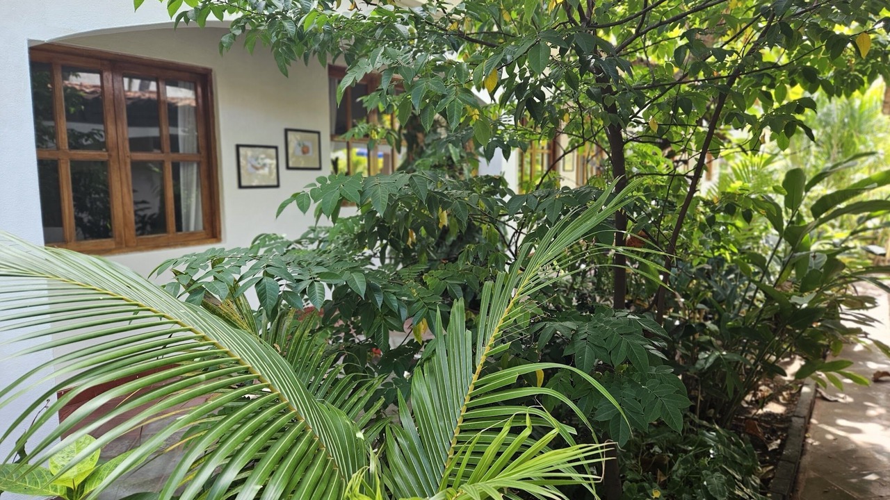 Photo of Outdoor in Las Penitas