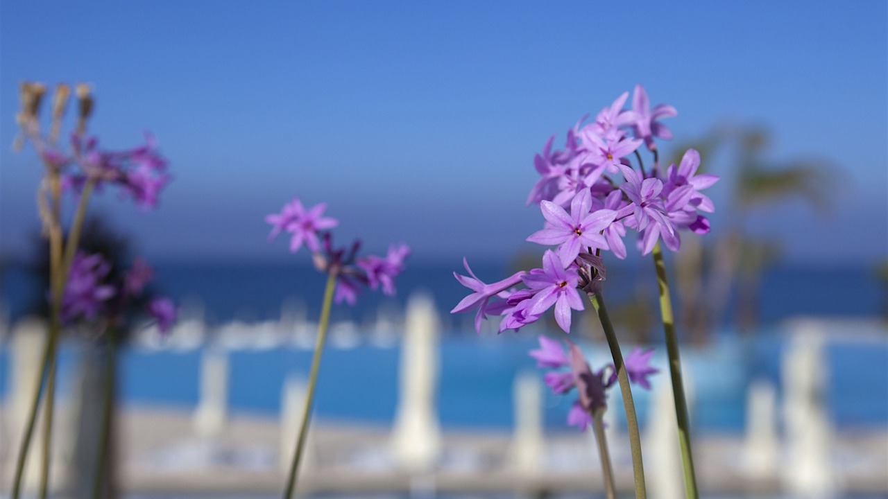 Photo of Outdoor in Chlorakas