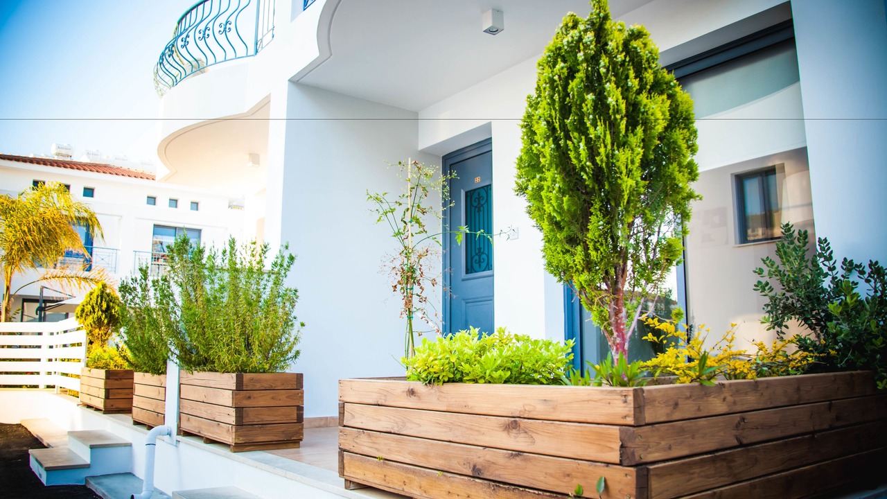 Photo of Outdoor in Kissonerga