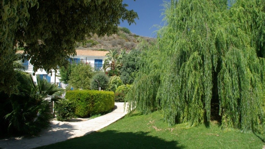 Photo of Outdoor in Pissouri