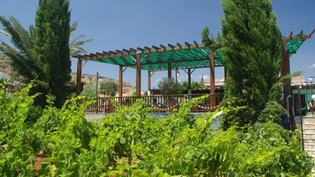 Photo of Outdoor in Pissouri