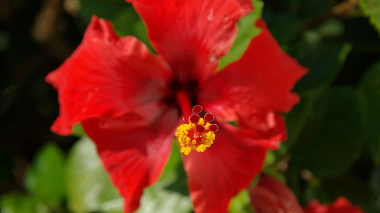 Photo of Outdoor in Pissouri