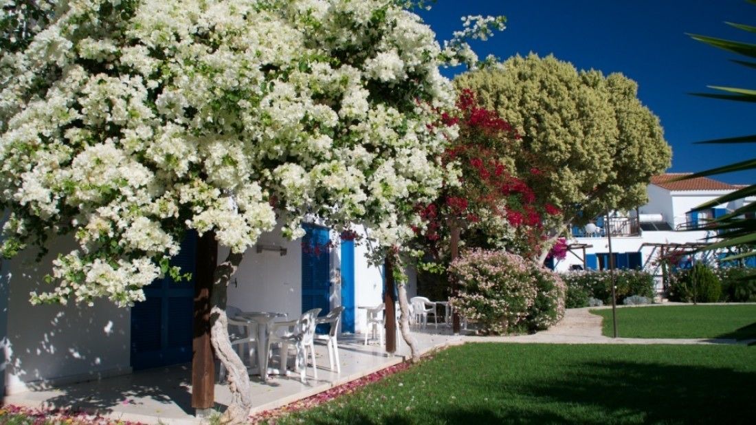 Photo of Outdoor in Pissouri