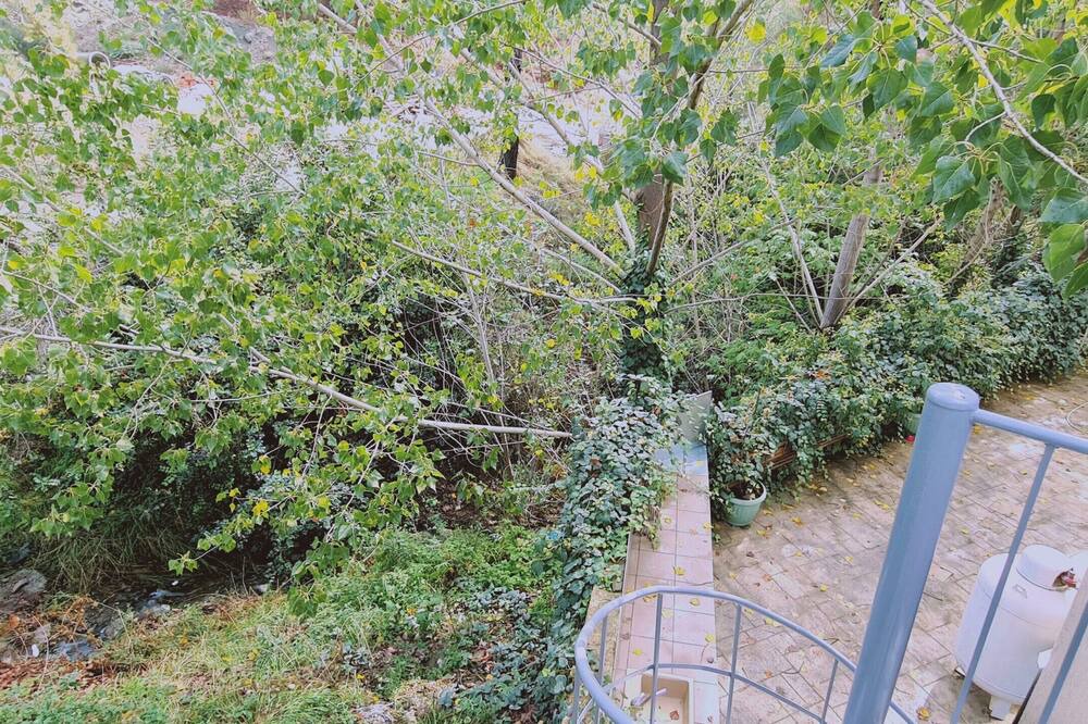 Photo of Outdoor in Moniatis