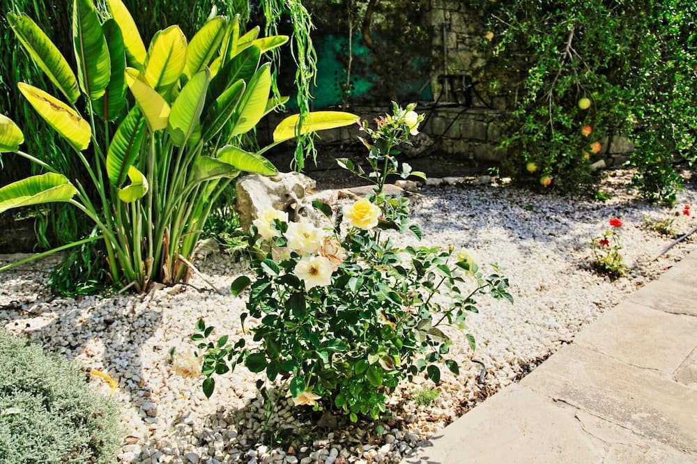 Photo of Outdoor in Droushia