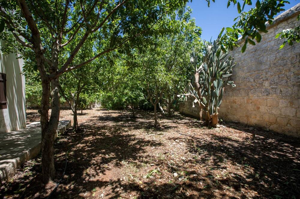 Photo of Outdoor in Droushia