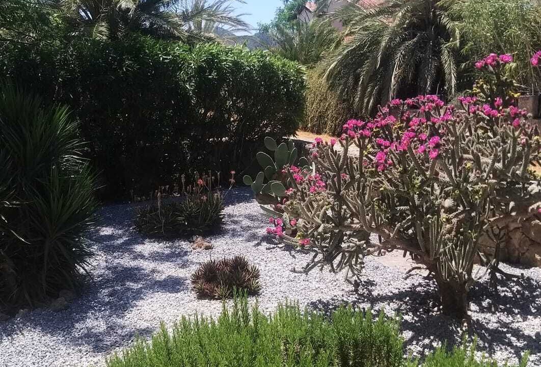 Photo of Outdoor in Karsiyaka