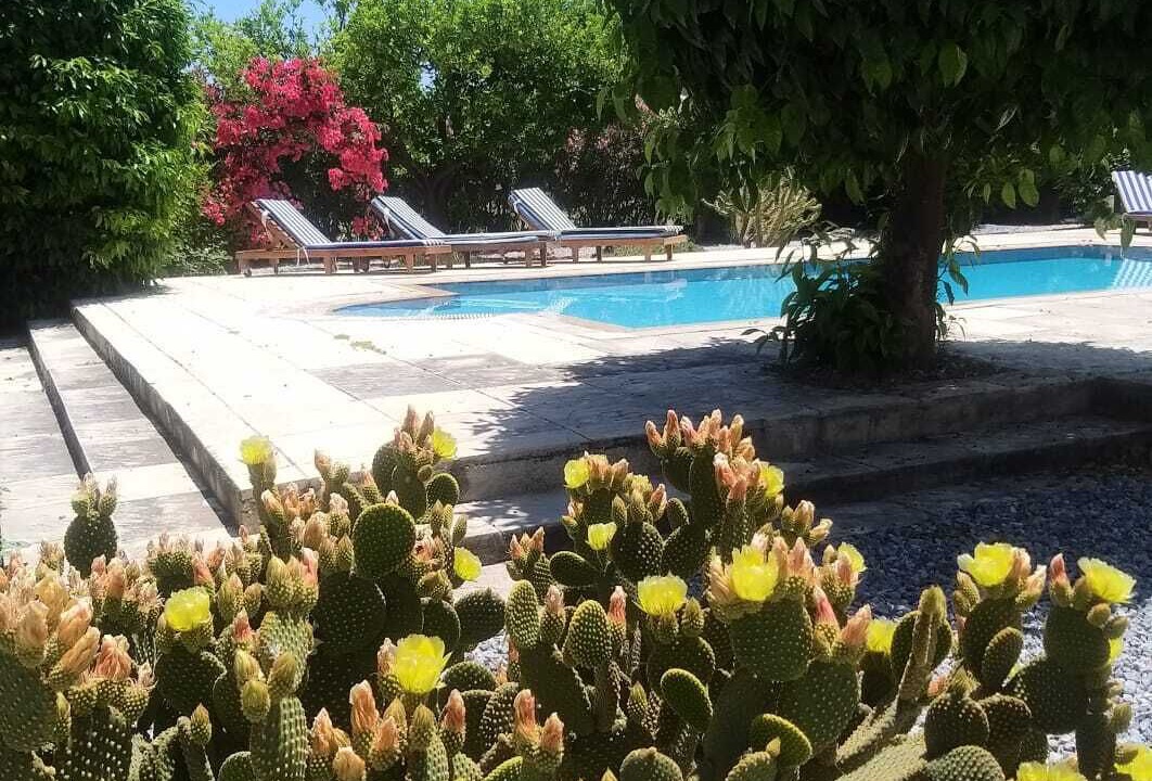 Photo of Outdoor in Karsiyaka