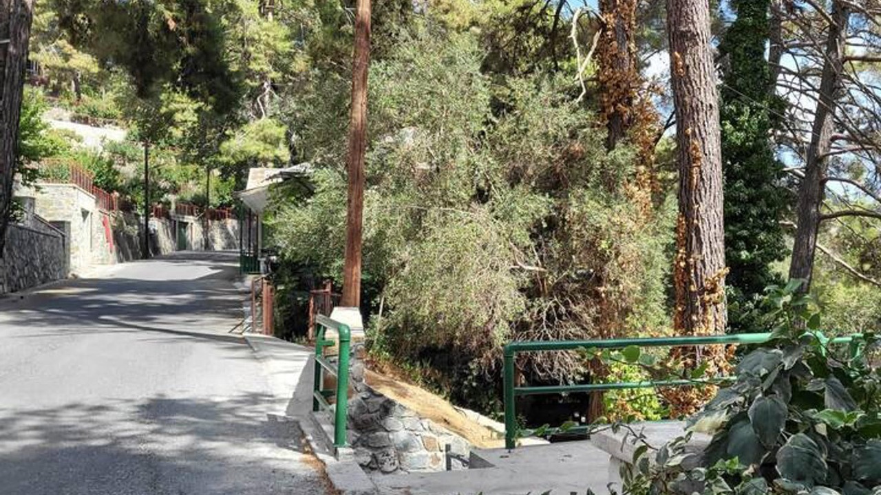 Photo of Others in Platres