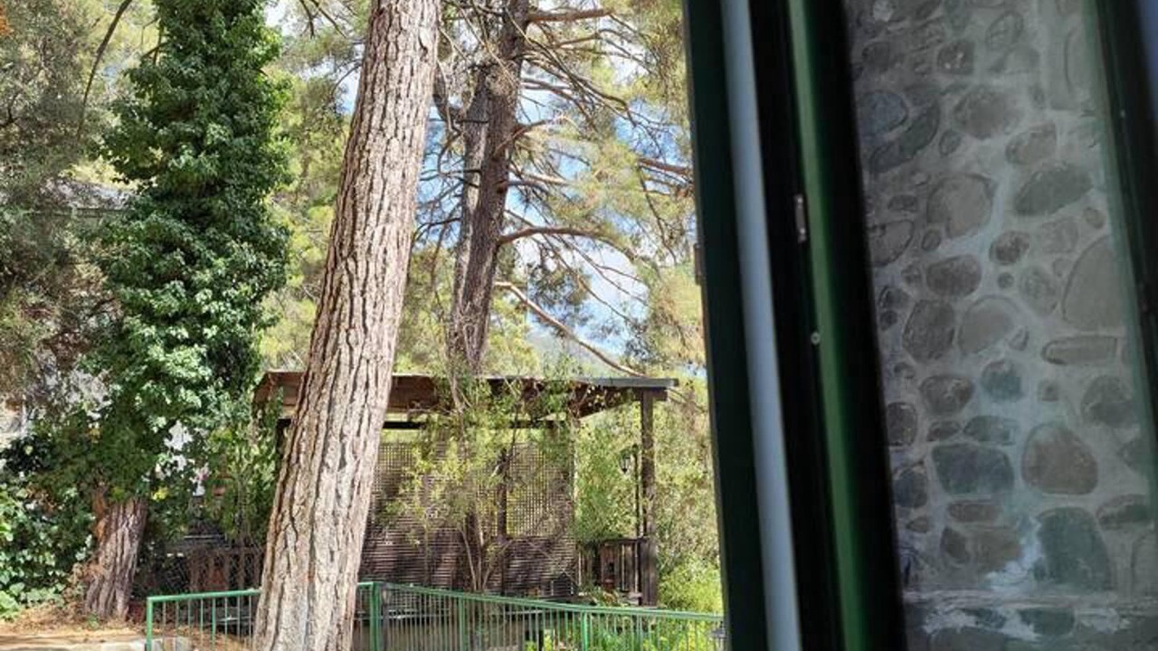 Photo of Others in Platres