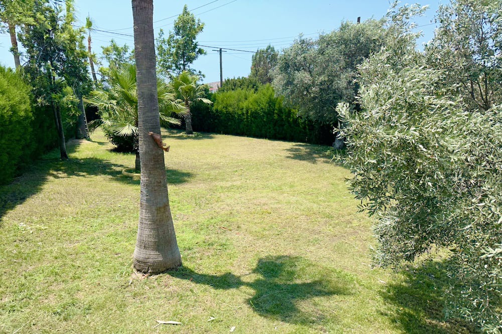 Photo of Outdoor in Moni