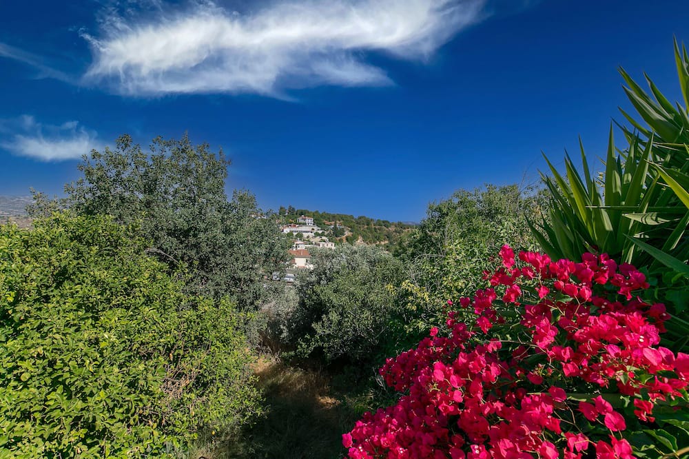 Photo of Outdoor in Emba
