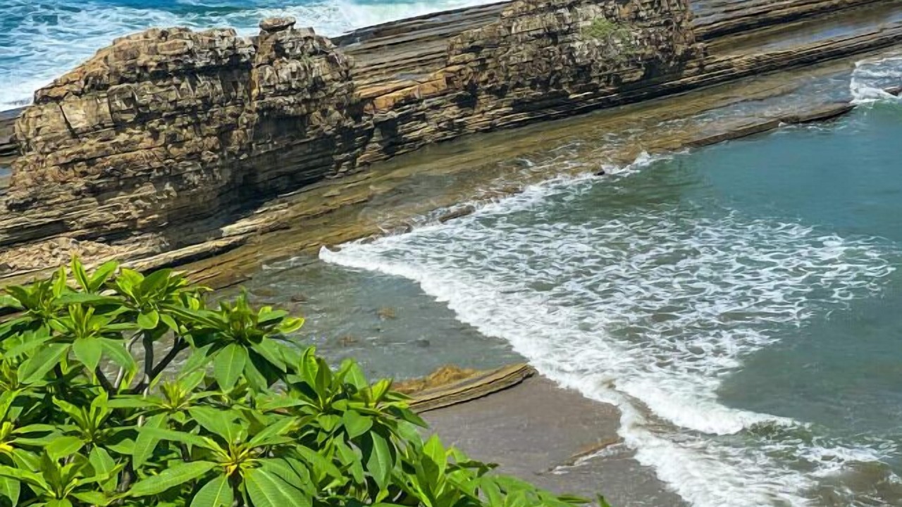 Photo of Others in Playa Gigante