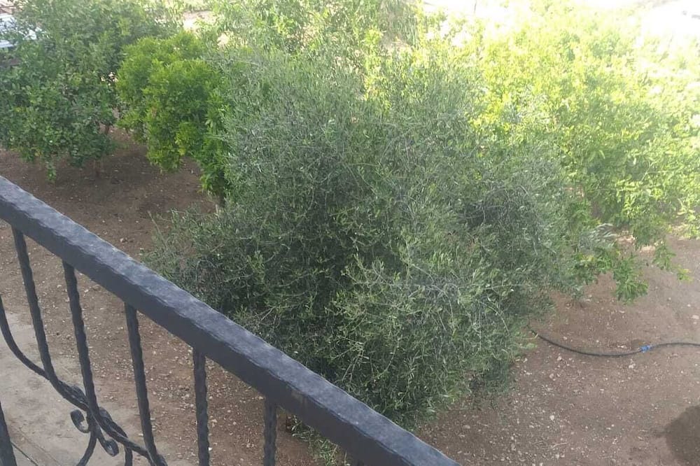 Photo of Outdoor in Karavas