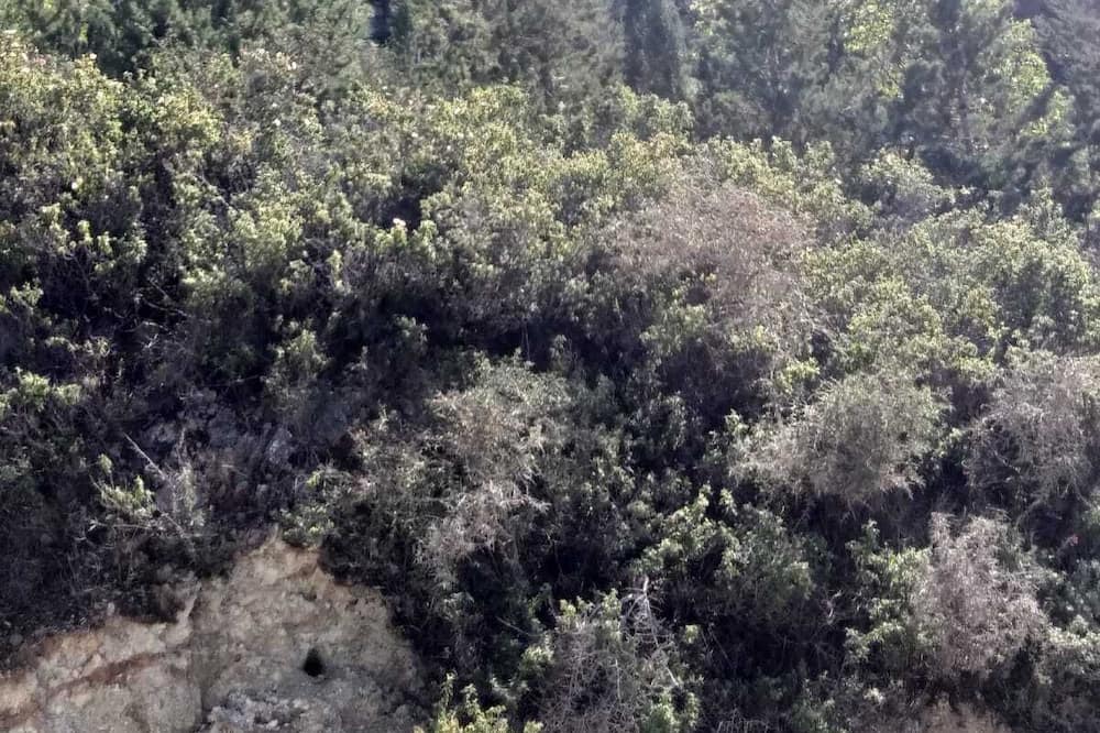 Photo of Outdoor in Karavas